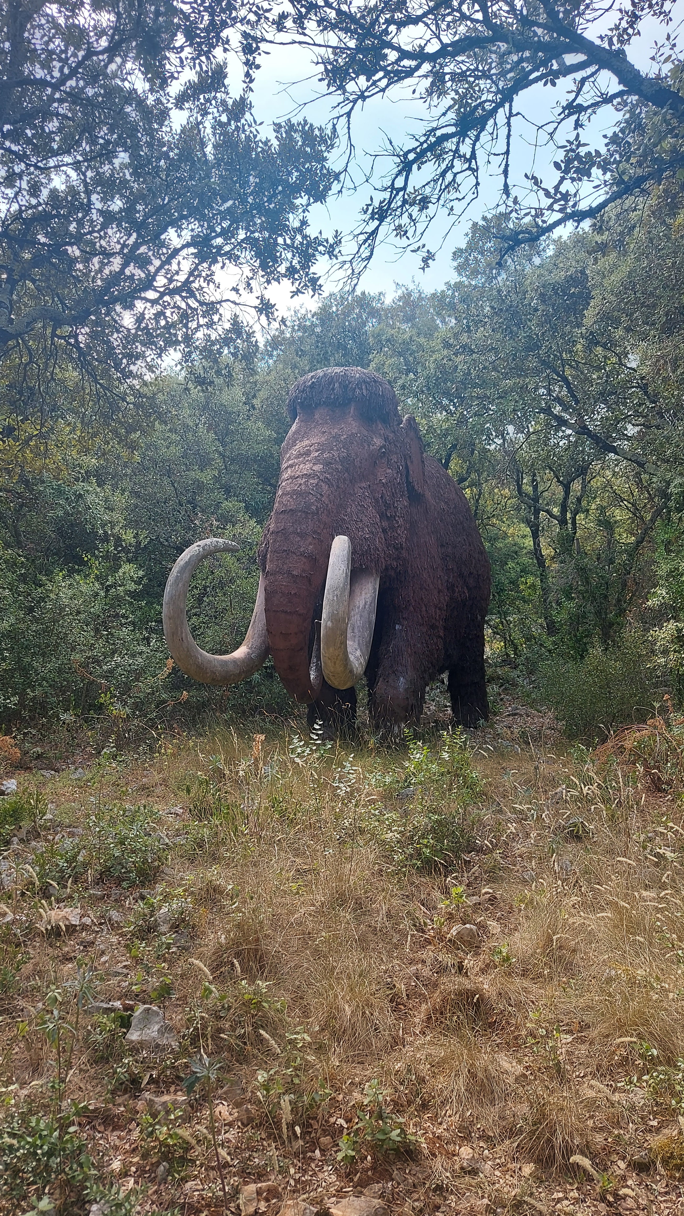 Photo n° 2 de l'avis de Cedric.o fait le 22/07/2022 à 16:08