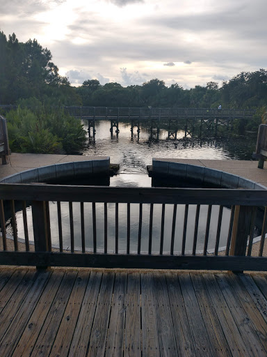 Park «Wall Springs Park», reviews and photos, 3725 Desoto Blvd, Palm Harbor, FL 34683, USA