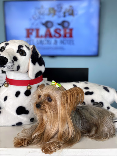 Flash Pet Salon & Hotel