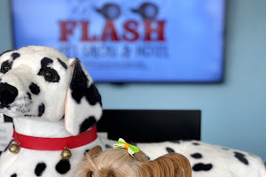 Flash Pet Salon & Hotel