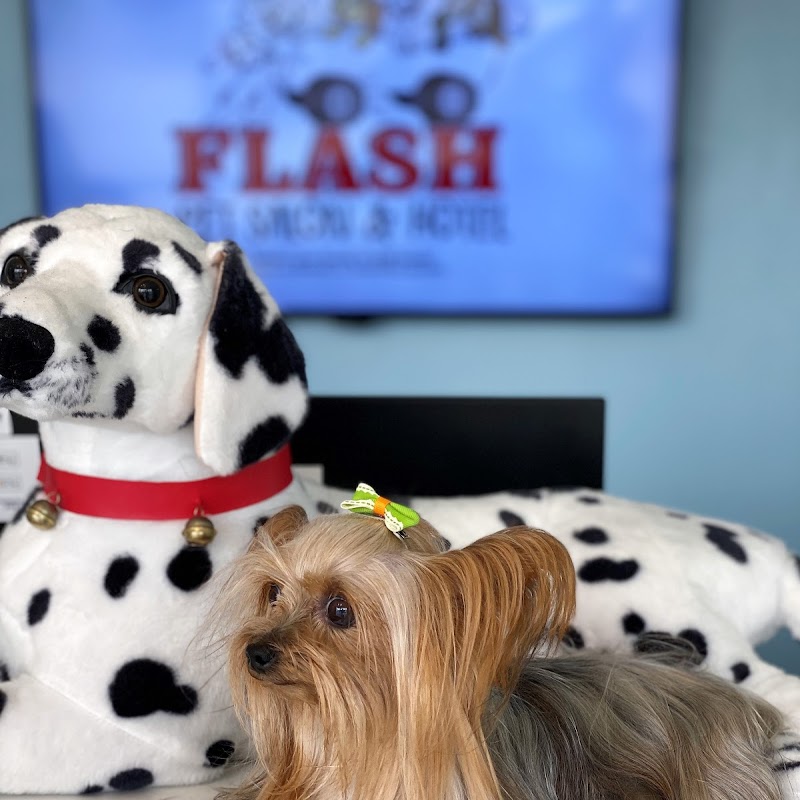 Flash Pet Salon & Hotel