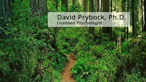 David Prybock, Ph.D.