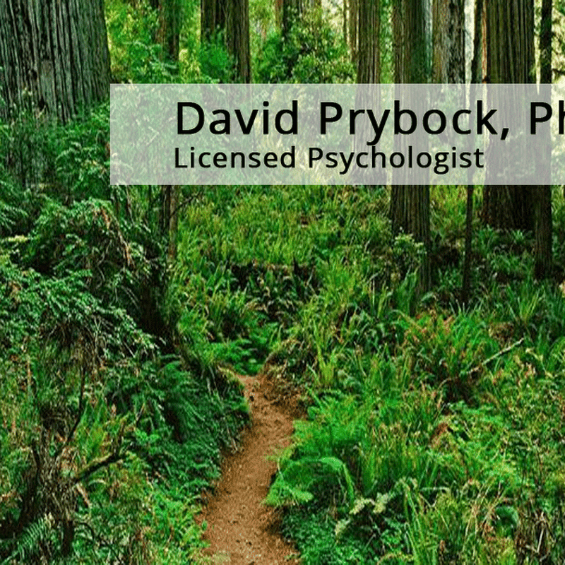 David Prybock, Ph.D.