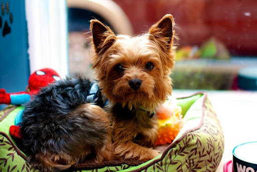 Clothing Store «May 23 Clothing and Accessories», reviews and photos, 117 W Gay St #134, West Chester, PA 19380, USA