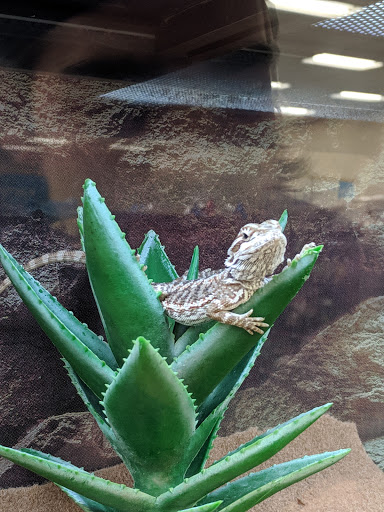 Pet Supply Store «Petco Animal Supplies», reviews and photos, 1250 William D Tate Ave #200, Grapevine, TX 76051, USA