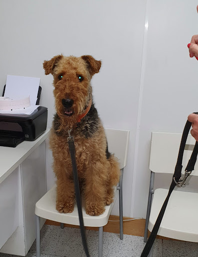Centro Veterinario Sandy en Sant Pere de Ribes