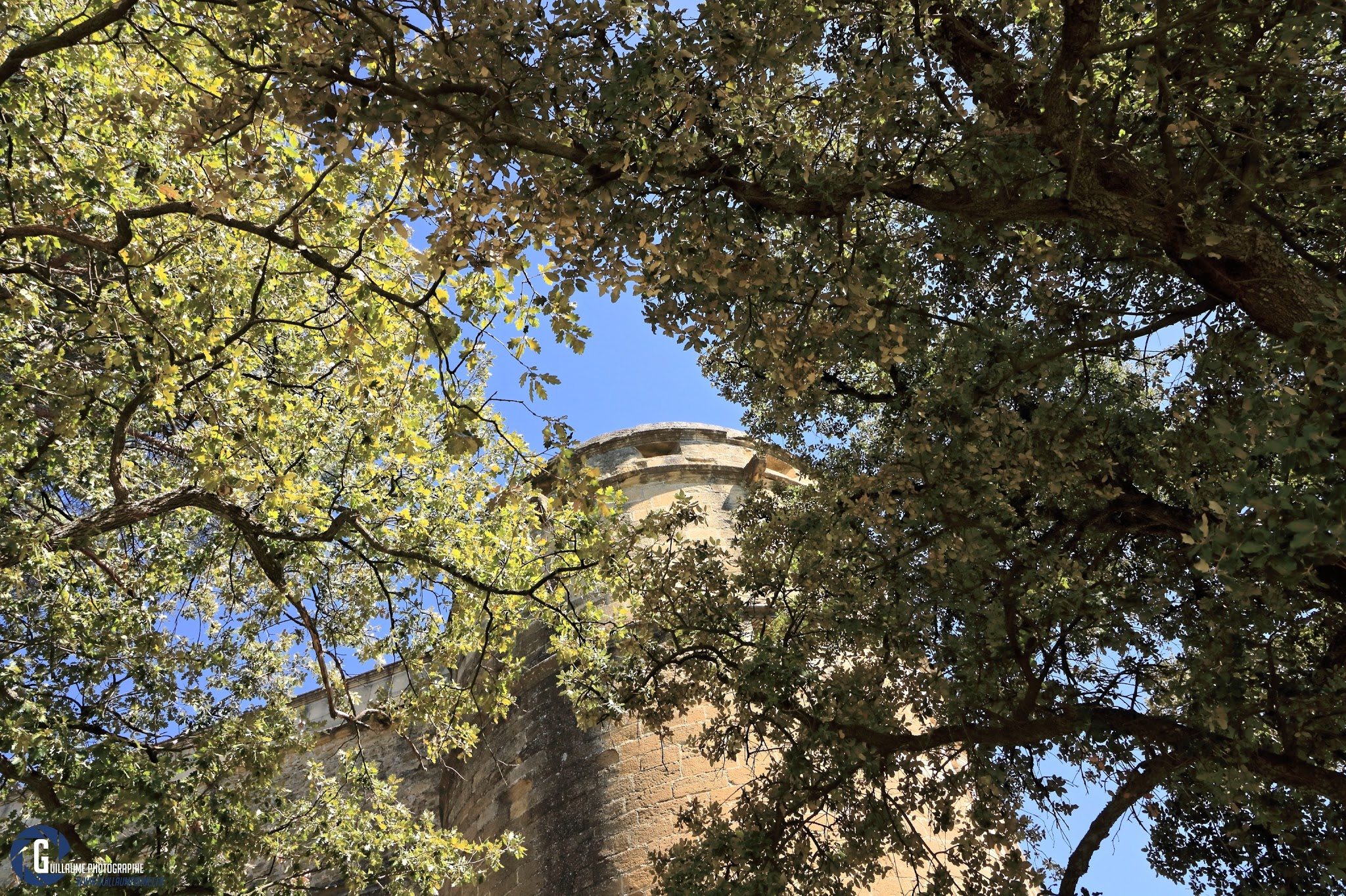 Photo n° 8 de l'avis de Capitaine.a fait le 21/08/2017 à 13:34