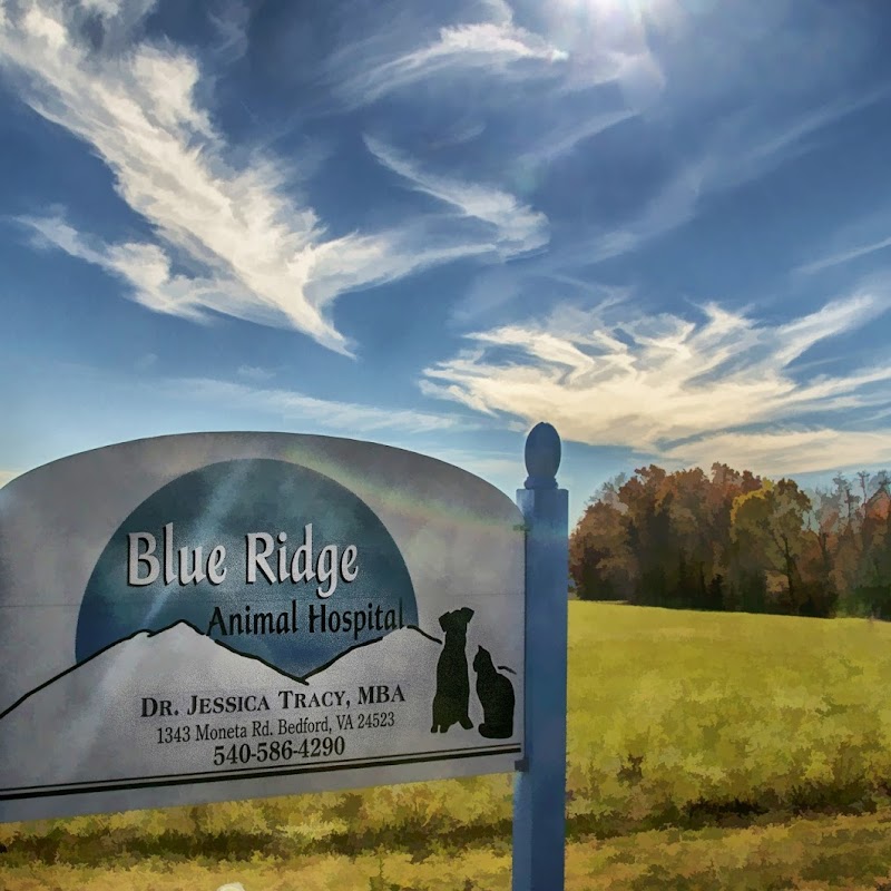 Blue Ridge Animal Hospital