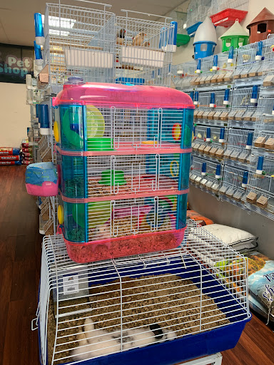 CAPE CORAL PETSHOP