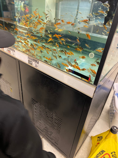 Pet Supply Store «Petco Animal Supplies», reviews and photos, 710 W 66th St, Richfield, MN 55423, USA