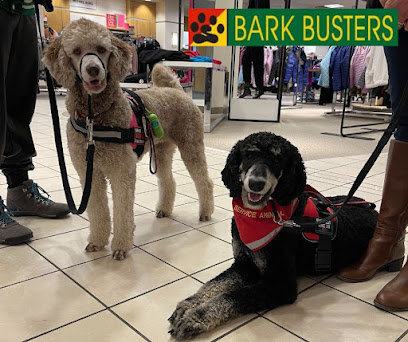Bark Busters Home Dog Training Grand Rapids