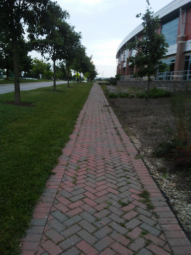 Park «Carol Stream Park District», reviews and photos, 849 W Lies Rd, Carol Stream, IL 60188, USA