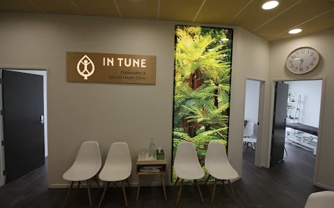 In Tune Osteopaths and Natural Health Clinic - Papakura image