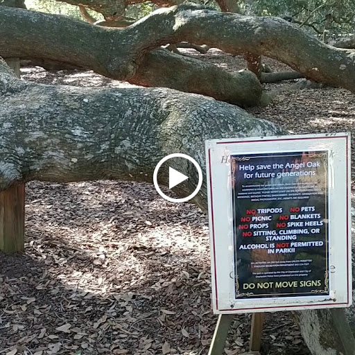 Historical Landmark «Historic Charleston City Market», reviews and photos, 188 Meeting St, Charleston, SC 29401, USA