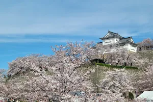 Tsuyama Castle Kakuzan Park image