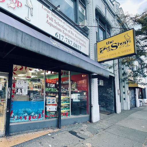 The Pet Shop, 165 Harvard Ave, Allston, MA 02134, USA, 