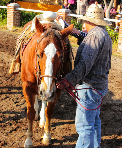 Clases montar a caballo Puebla
