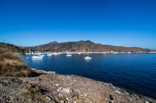 Gift Shop «Two Harbors General Store», reviews and photos, 1 Banning House Rd, Avalon, CA 90704, USA