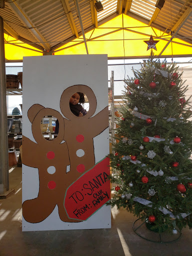 Home Improvement Store «The Home Depot», reviews and photos, 373 E Fm 1382, Cedar Hill, TX 75104, USA