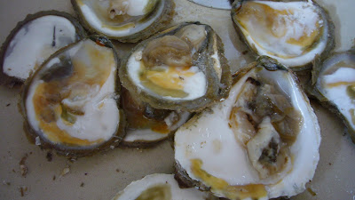 Mytilimer à Cancale