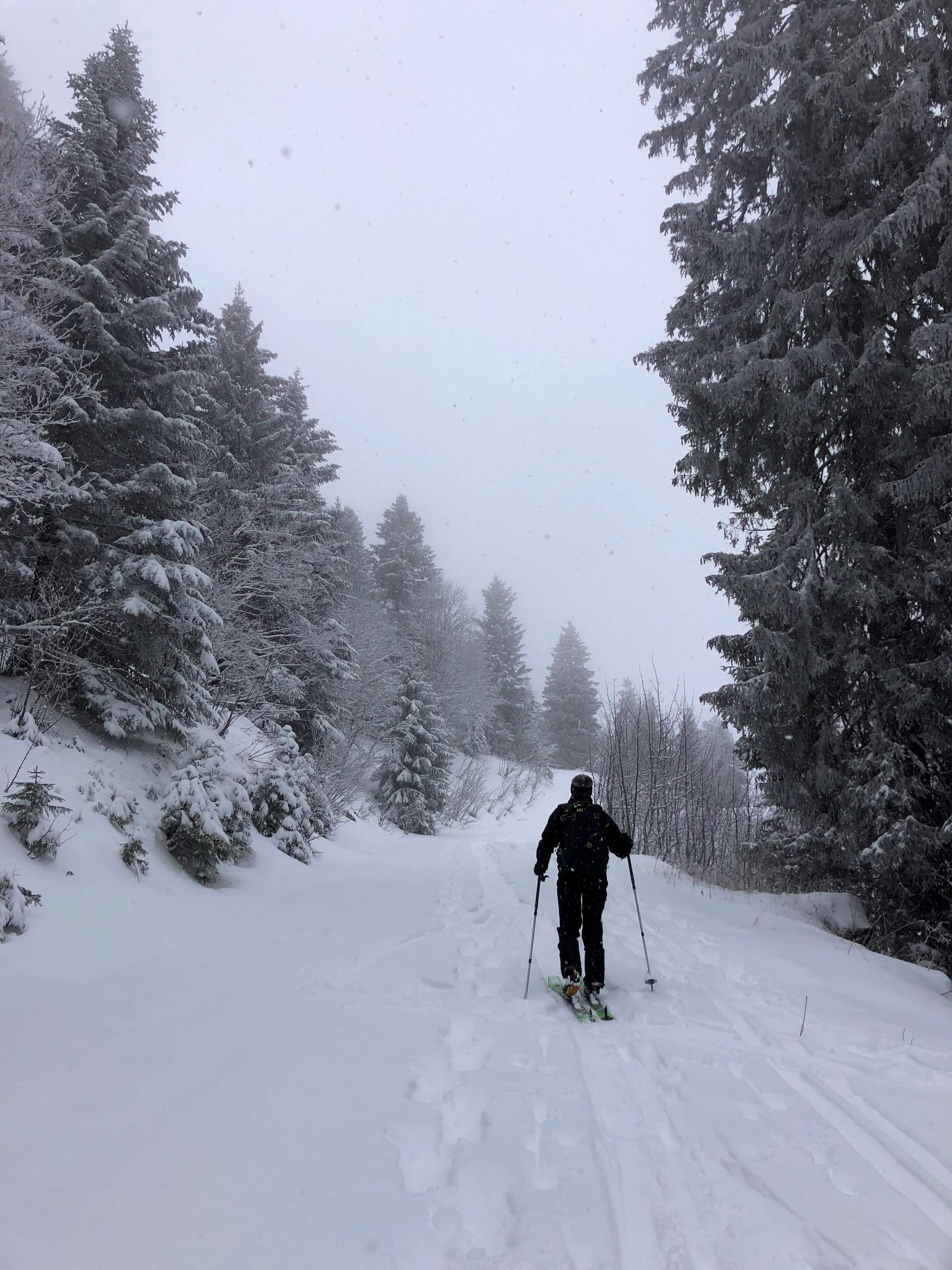 Photo n° 1 de l'avis de Bernard.o fait le 26/12/2020 à 13:10