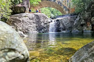 Paluma Range National Park image