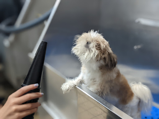 Pet Supply Store «Pet Supplies Plus», reviews and photos, 4524 Heritage Trace Pkwy, Fort Worth, TX 76244, USA