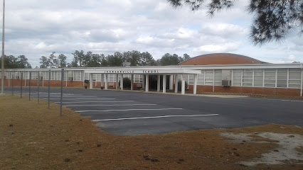 Johnsonville School