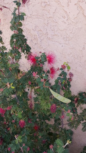 Tucson Estates Foothills - photo 25