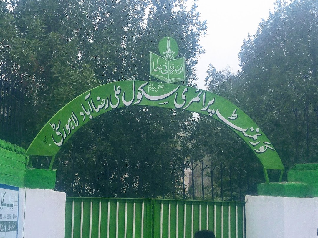 Govt Primary School (Ali Raza Abad)