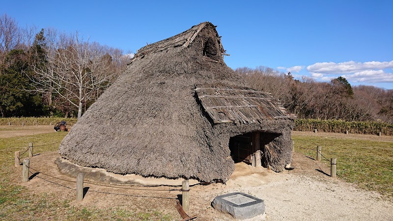 上高津貝塚