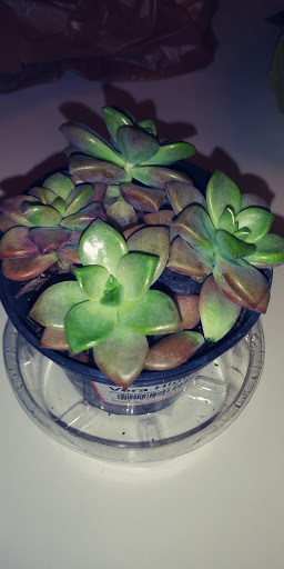 Home Improvement Store «The Home Depot», reviews and photos, 11075 Tara Blvd, Lovejoy, GA 30250, USA