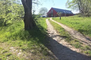 pergo - Fasten Yoga Ostsee Faßsauna Wandern Insel Usedom image