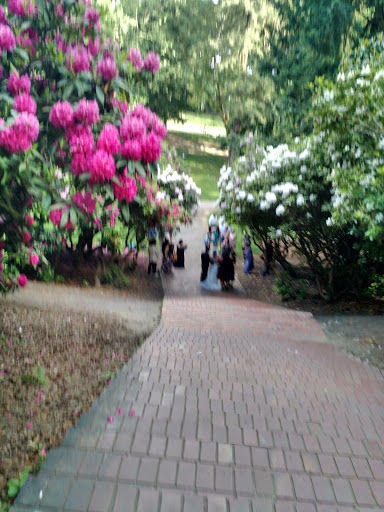 Park «Laurelhurst Park», reviews and photos, SE Cesar E Chavez Blvd & Stark St, Portland, OR 97214, USA