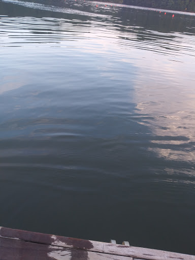 Event Venue «Lake Lanier Olympic Park», reviews and photos, 3105 Clarks Bridge Rd, Gainesville, GA 30506, USA