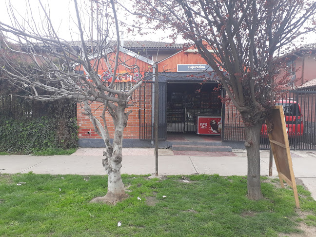 Vicuña Mackenna 7241, Renca, Región Metropolitana, Chile