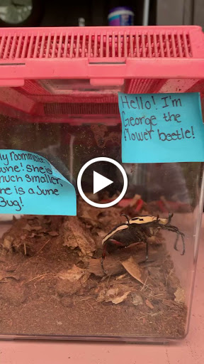 Garden «The Butterfly Place», reviews and photos, 120 Tyngsboro Rd, Westford, MA 01886, USA