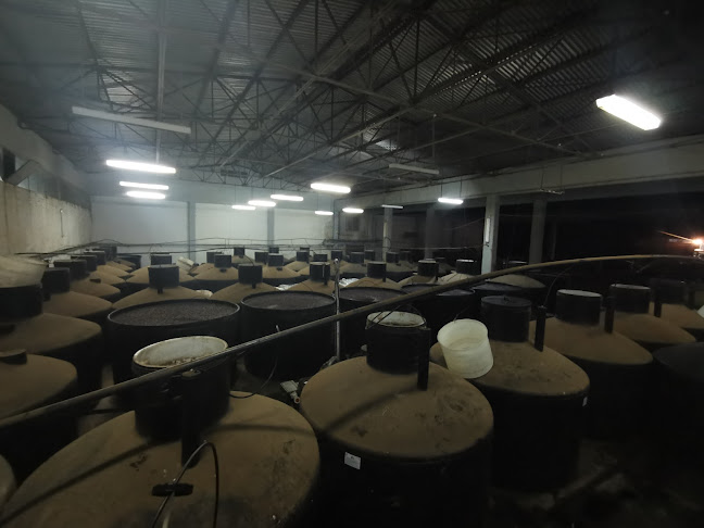 Αγροτικός Ελαιουργικός Συνεταιρισμός Λιβανατών