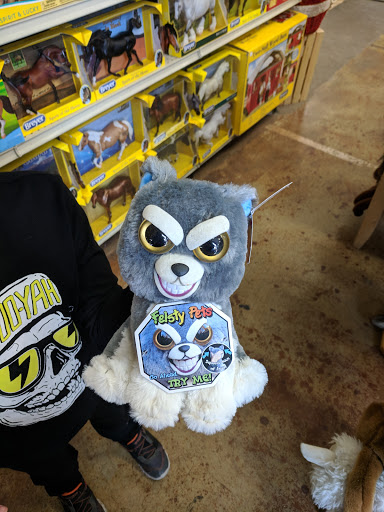 Pet Supply Store «Concord Feed Pet & Livestock Supplies», reviews and photos, 228 Hookston Rd, Pleasant Hill, CA 94523, USA