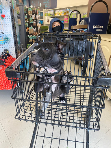 Pet Supply Store «Petco Animal Supplies», reviews and photos, 710 W 66th St, Richfield, MN 55423, USA