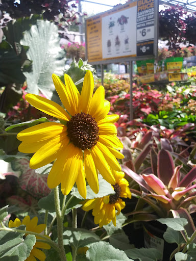 Home Improvement Store «The Home Depot», reviews and photos, 3455 S US Hwy 17 92, Casselberry, FL 32707, USA