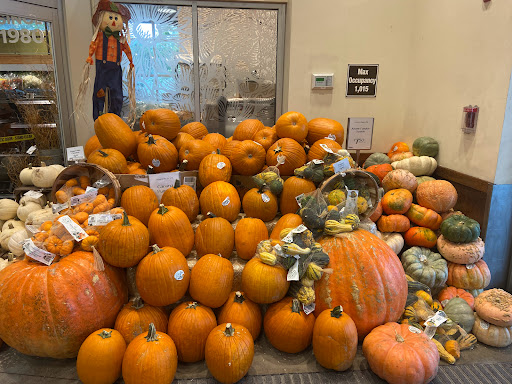 Grocery Store «Whole Foods Market», reviews and photos, 10601 San Jose Blvd, Jacksonville, FL 32257, USA