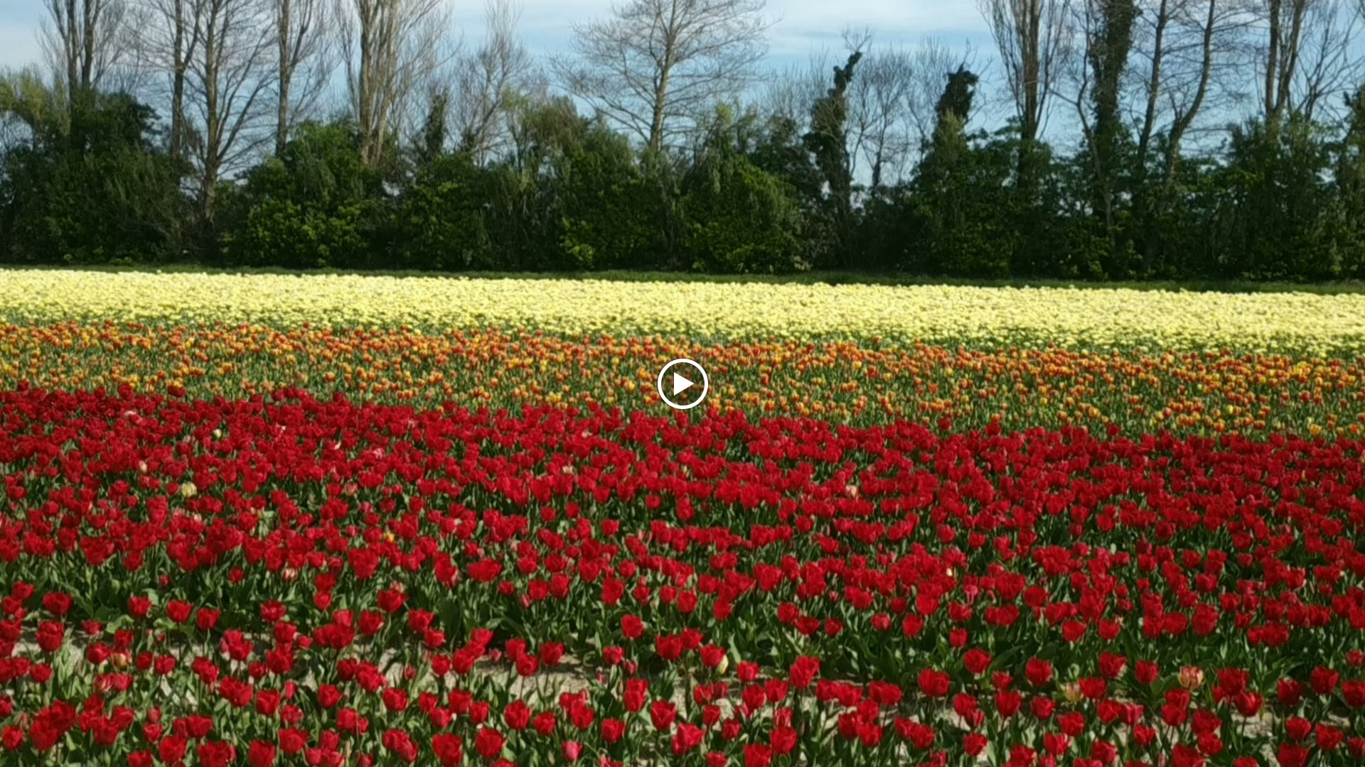 Photo n° 14 de l'avis de The.a fait le 05/04/2023 à 21:57