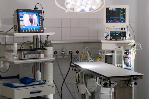 Kleintierpraxis am Park - Dr. Lea Schütz Dr. Alberto De Nicola unter Rheinfelden, Baden Württemberg