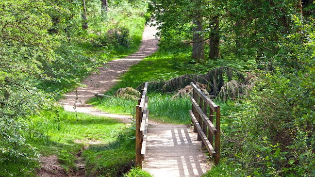 Annie Cosseau EI, Psychopraticienne thérapeute