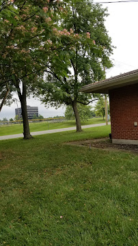 Diaz Tree Service Experts LLC - Tree Trimming Service, Grass Mowing, Landscaping Service and Land Cleanup - Photo 4 - Car repair in , Cincinnati