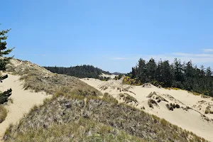Oregon Dunes Day Use Area image
