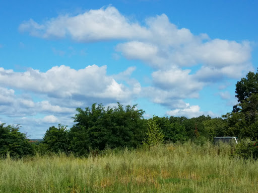 State Liquor Store «NH Liquor & Wine Outlet», reviews and photos, 68 Elm St, Manchester, NH 03103, USA