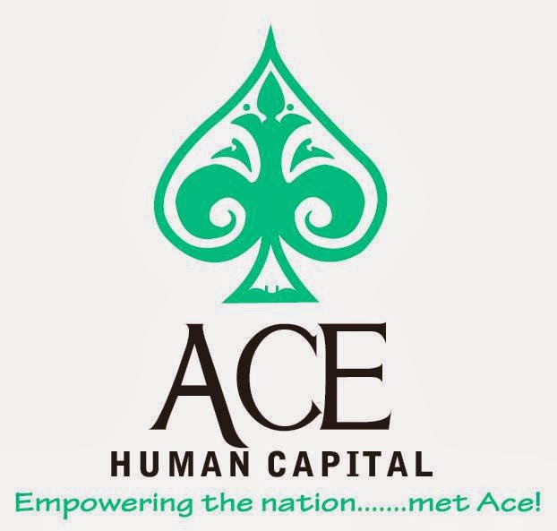 Ace Human Capital cc