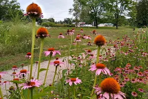 Altherr Nature Park image